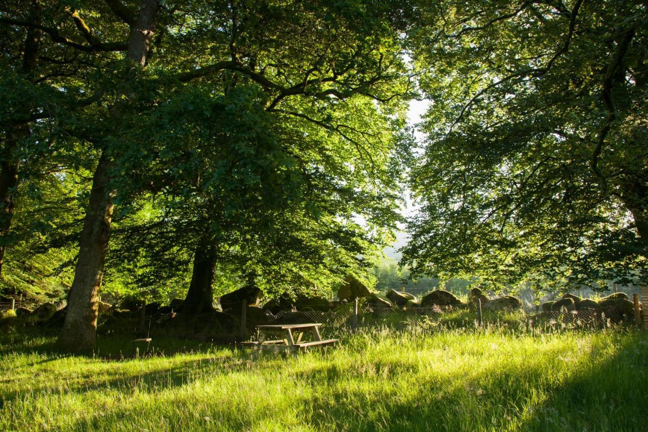 The Wicklow Escape (Adults Only) Donard Exterior foto